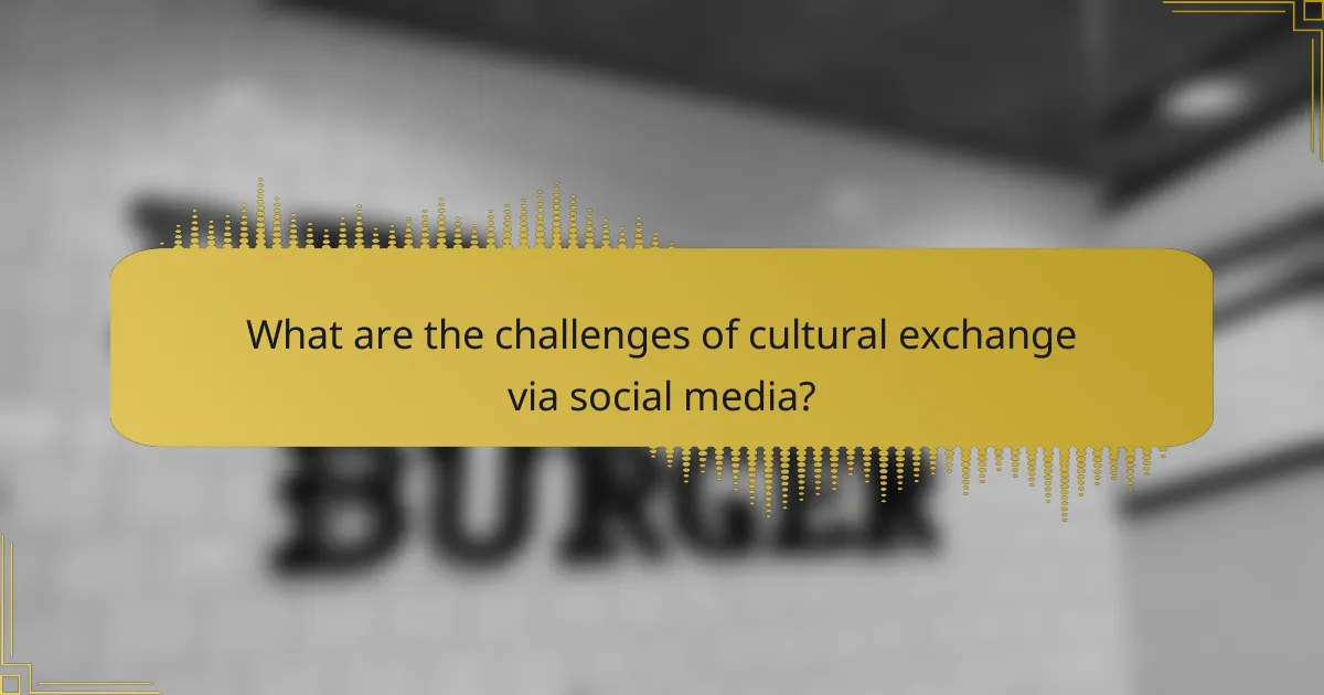 What are the challenges of cultural exchange via social media?